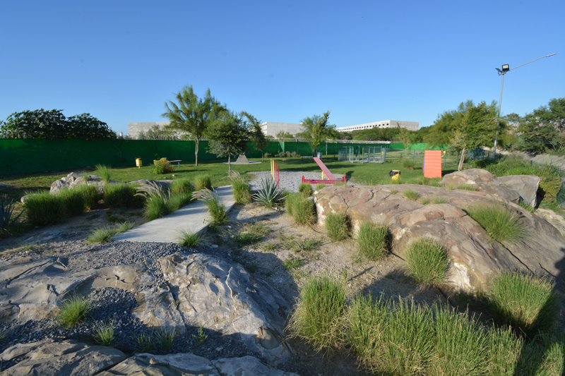 Dog park